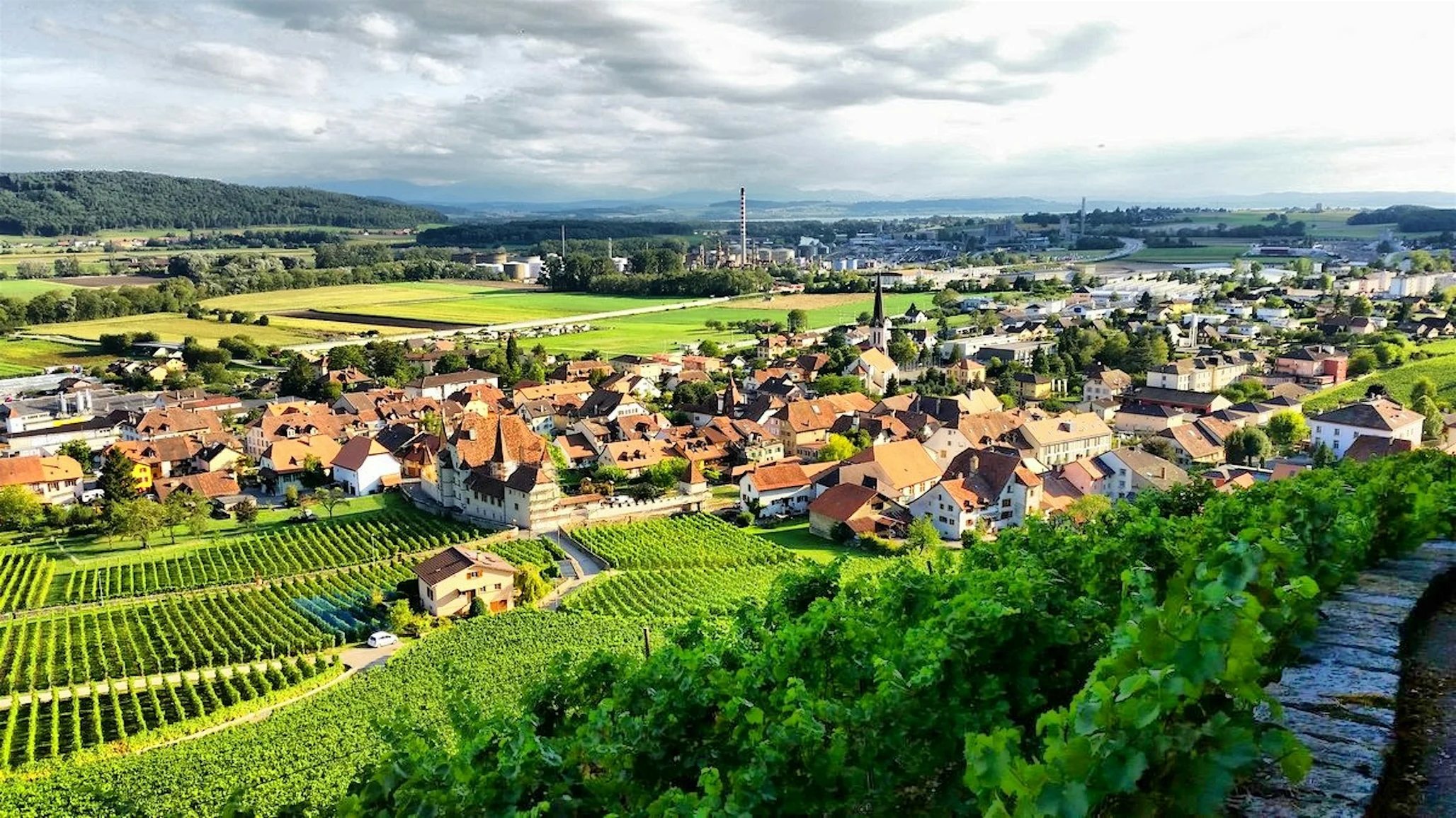 Experten für Immobilien im Kanton Freiburg