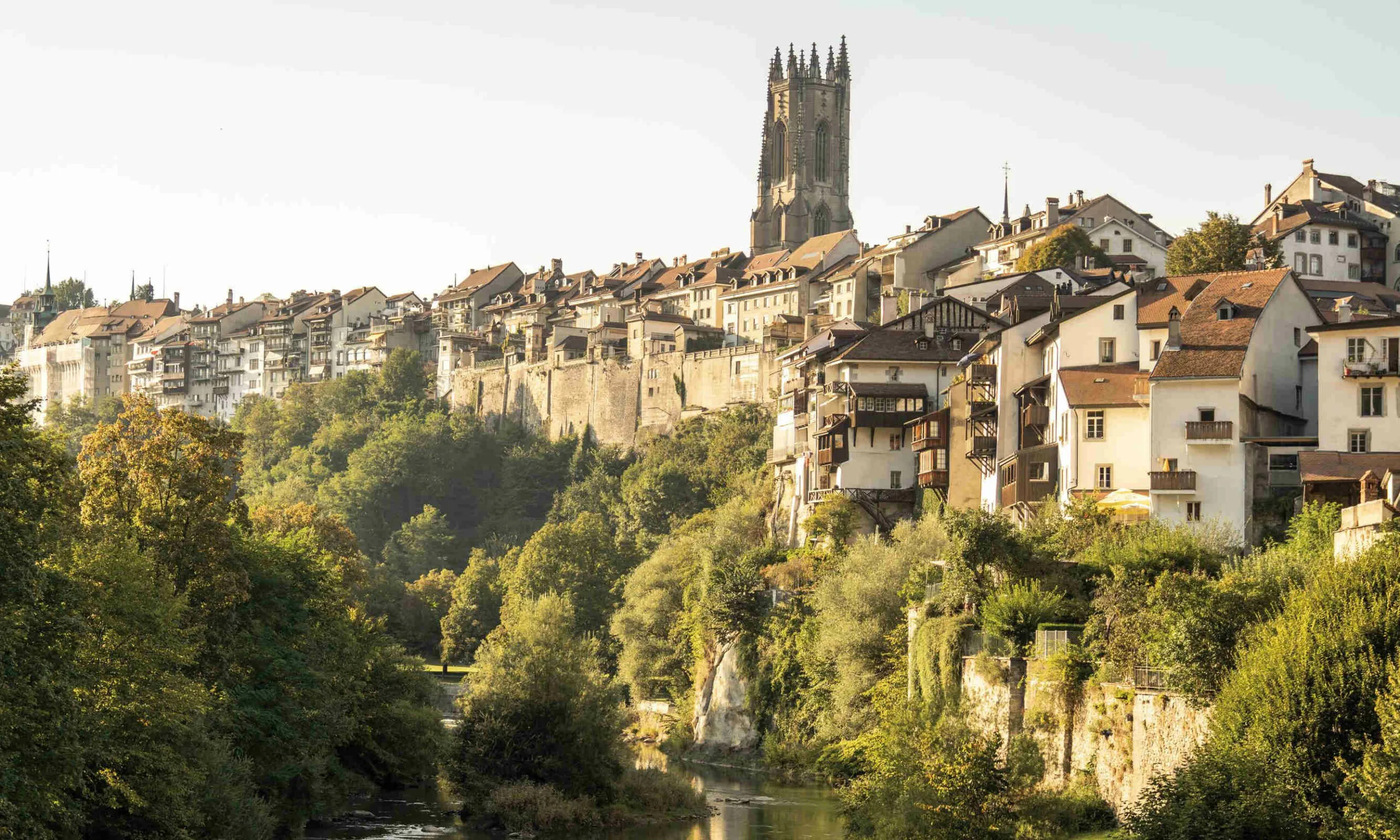 Experten für Immobilien im Kanton Freiburg