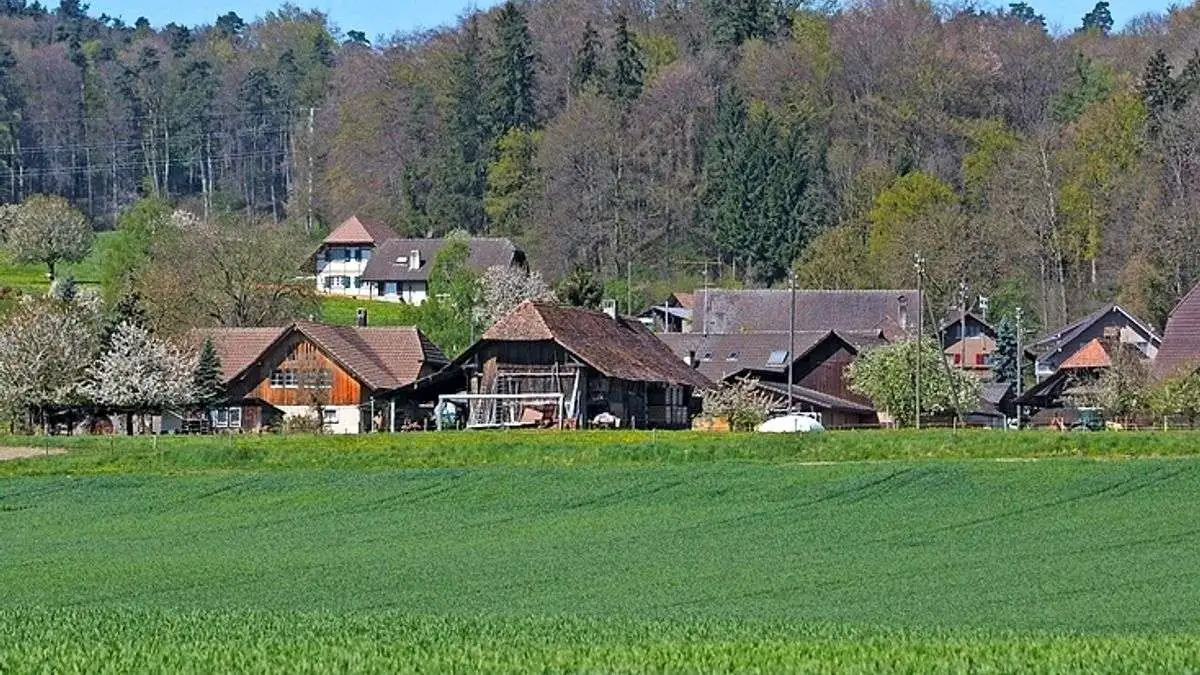 Experten für Immobilien im Kanton Freiburg