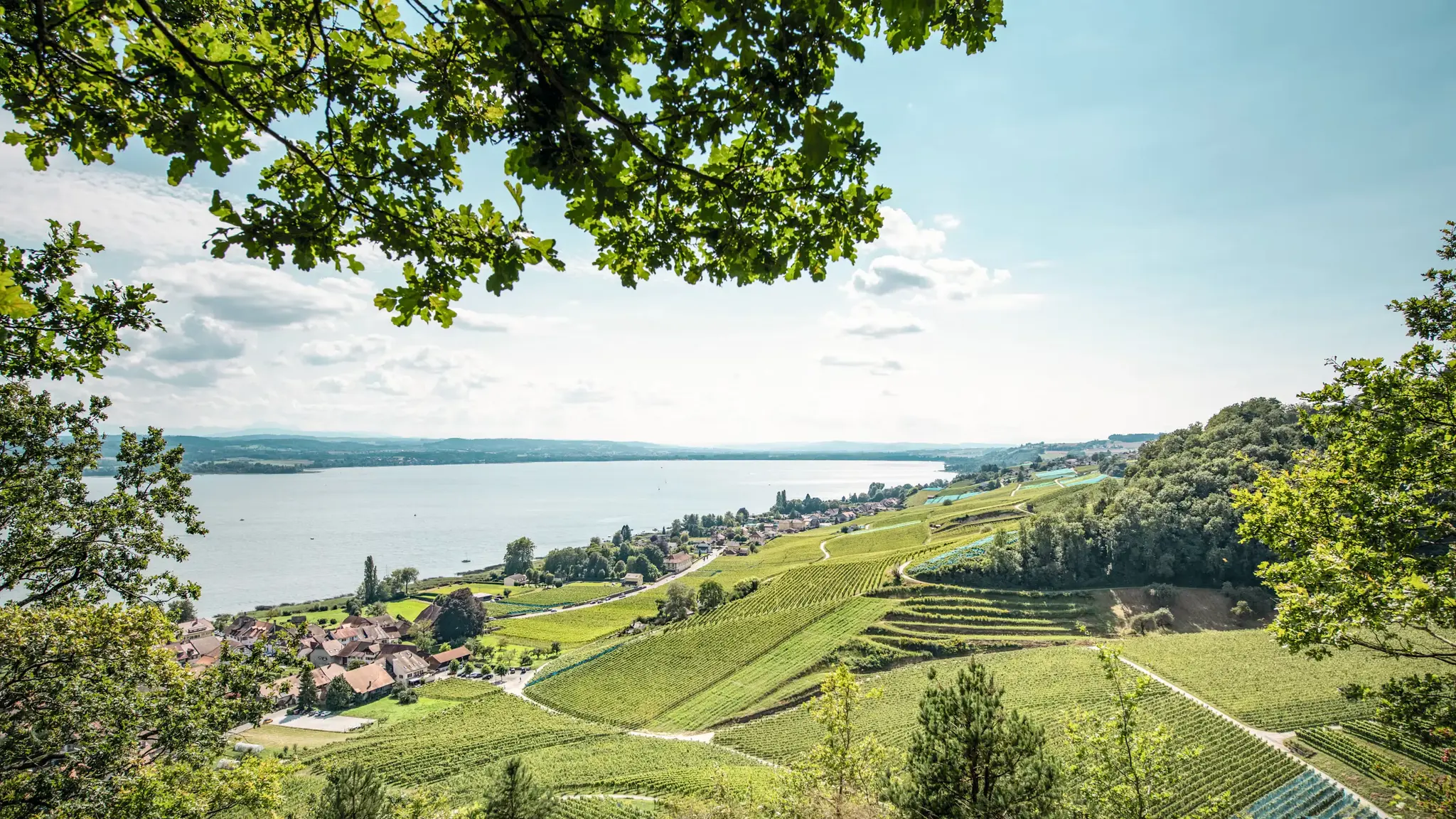 Experten für Immobilien im Kanton Freiburg