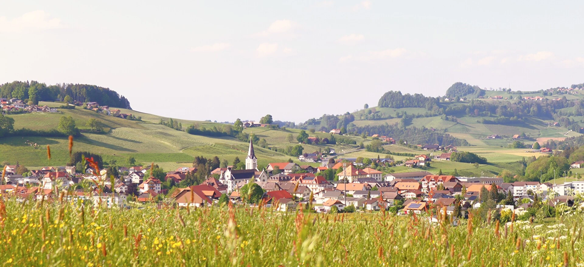 Experten für Immobilien im Kanton Freiburg