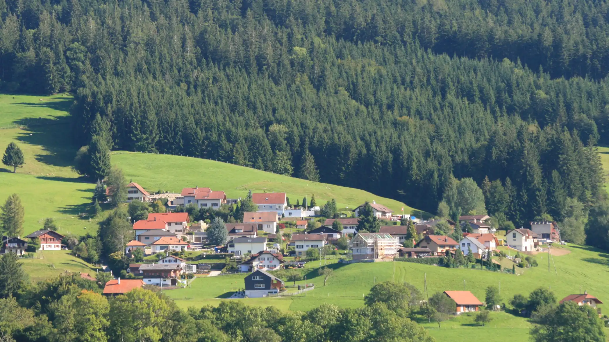 Experten für Immobilien im Kanton Freiburg