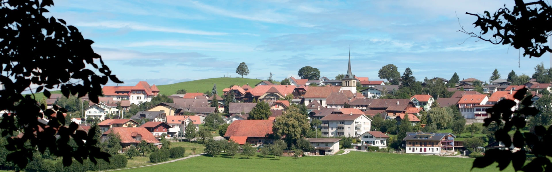 Experten für Immobilien im Kanton Freiburg
