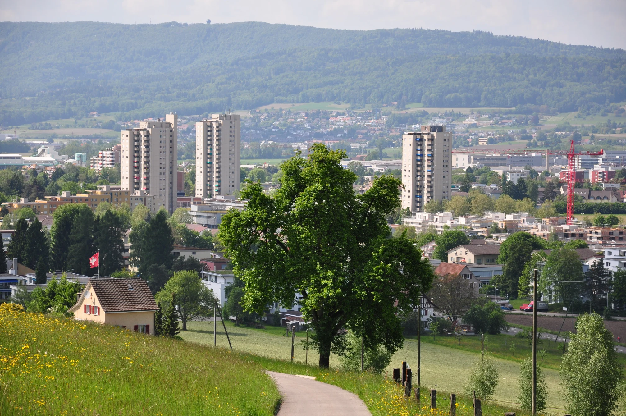 Experten für Immobilien im Kanton Zürich