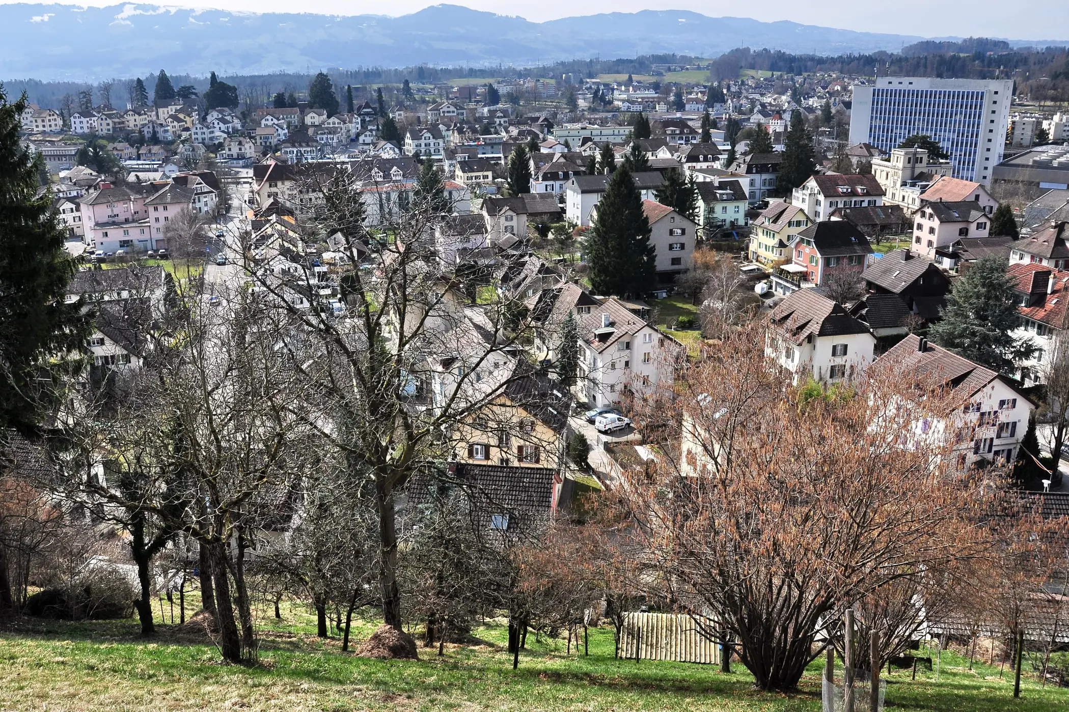 Experten für Immobilien im Kanton Zürich
