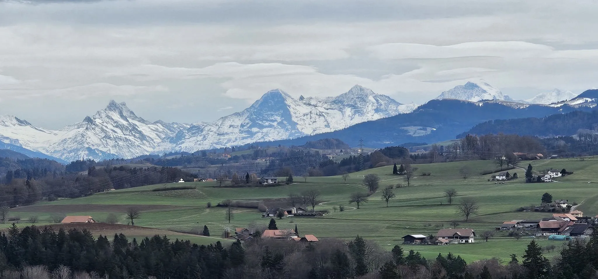 Experten für Immobilien im Kanton Freiburg