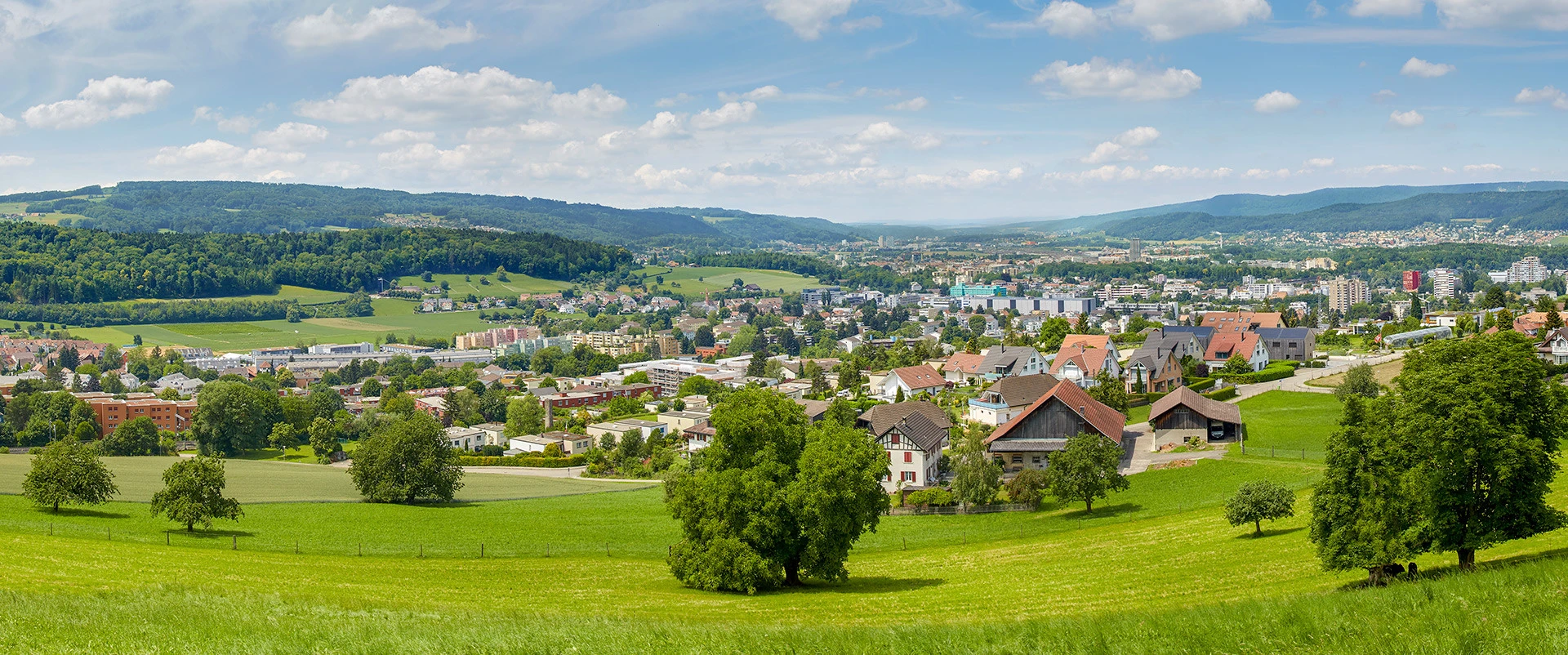 Experten für Immobilien im Kanton Zürich