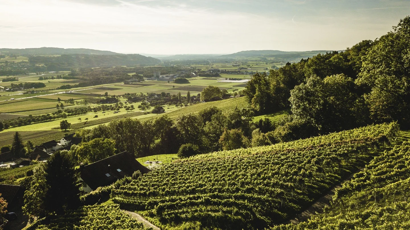 Experten für Immobilien im Kanton Thurgau