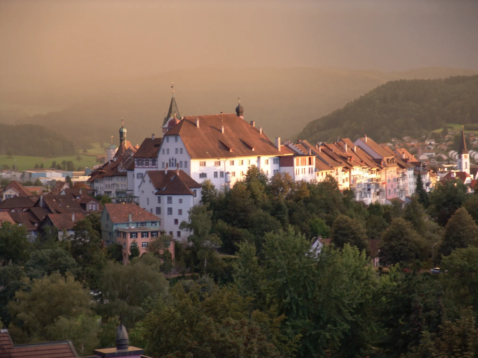Experten für Immobilien im Kanton St. Gallen